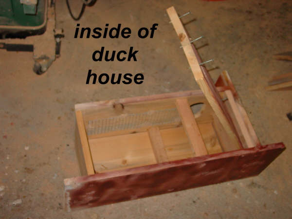 Box Wood Duck House Plans